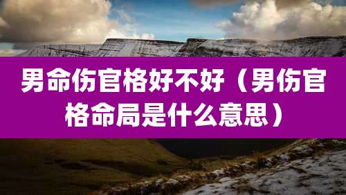 男命伤官格好不好(男伤官格命局是什么意思)