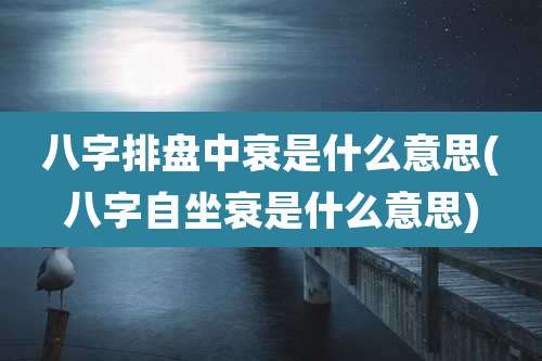 八字排盘中衰是什么意思(八字自坐衰是什么意思)