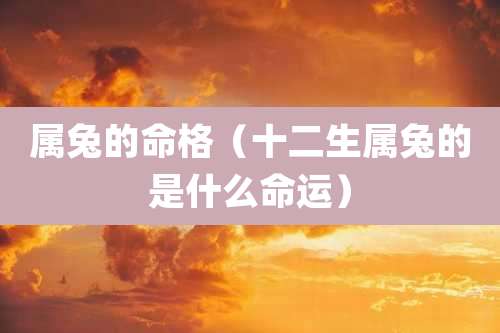 属兔的命格（十二生属兔的是什么命运）