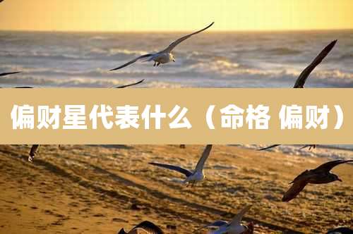 偏财星代表什么（命格 偏财）