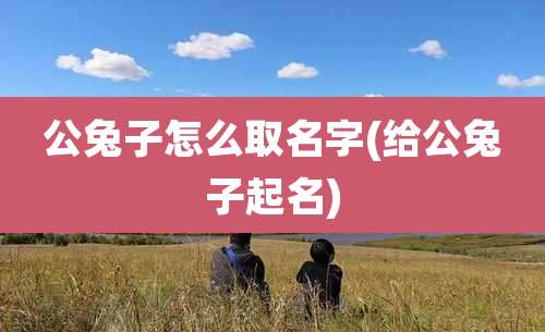 公兔子怎么取名字(给公兔子起名)