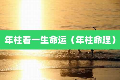 年柱看一生命运(年柱命理)