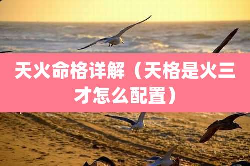 天火命格详解（天格是火三才怎么配置）