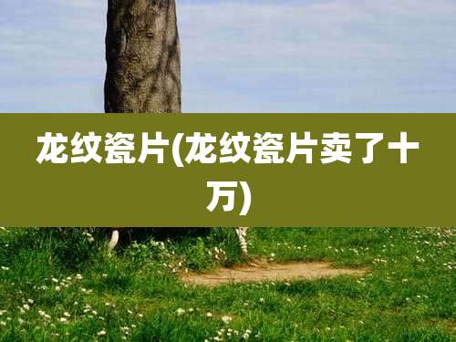 龙纹瓷片(龙纹瓷片卖了十万)