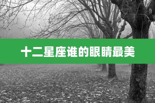 十二星座谁的眼睛最美
