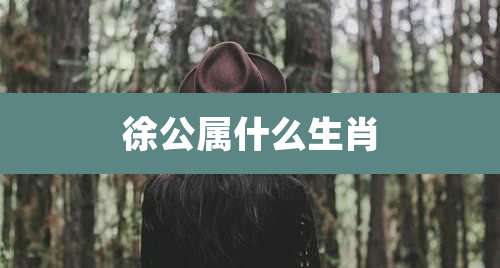 徐公属什么生肖