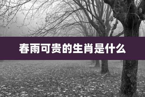 春雨可贵的生肖是什么