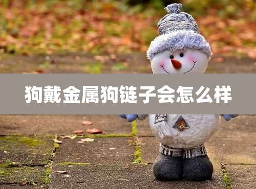 狗戴金属狗链子会怎么样