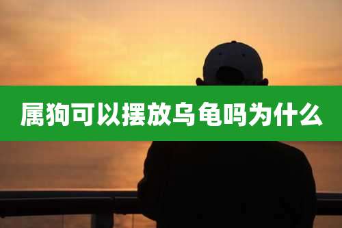 属狗可以摆放乌龟吗为什么