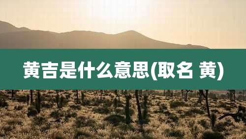 黄吉是什么意思(取名 黄)