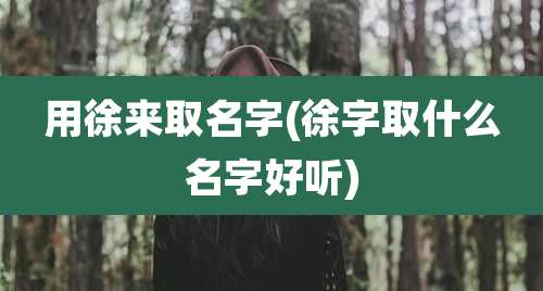 用徐来取名字(徐字取什么名字好听)