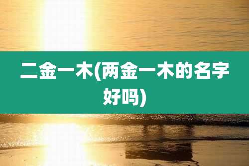 二金一木(两金一木的名字好吗)