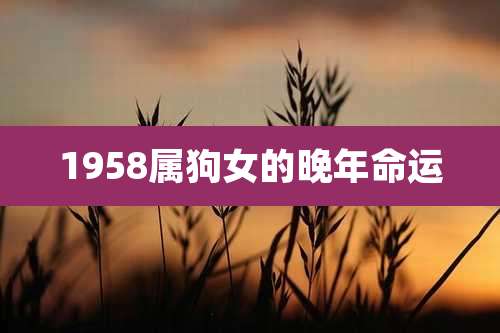 1958属狗女的晚年命运