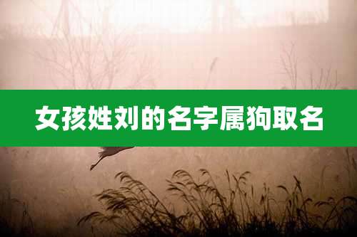 女孩姓刘的名字属狗取名