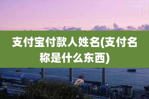 支付宝付款人姓名(支付名称是什么东西)