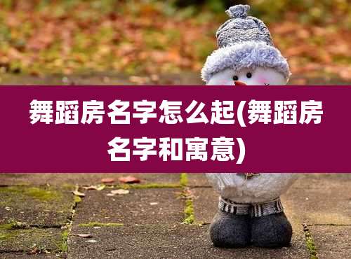 舞蹈房名字怎么起(舞蹈房名字和寓意)