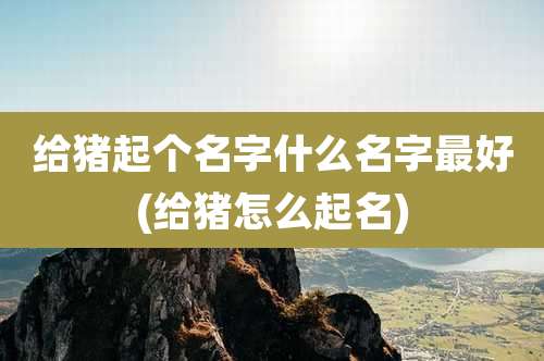 给猪起个名字什么名字最好(给猪怎么起名)