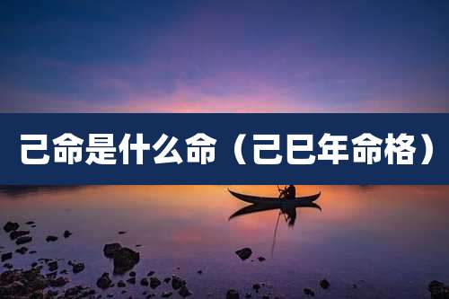 己命是什么命(己巳年命格)
