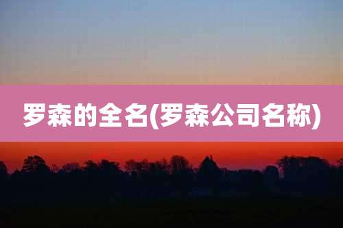 罗森的全名(罗森公司名称)
