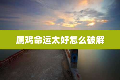属鸡命运太好怎么破解