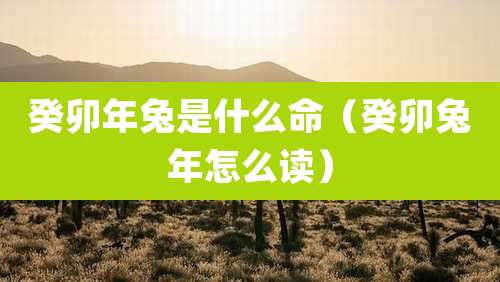 癸卯年兔是什么命（癸卯兔年怎么读）