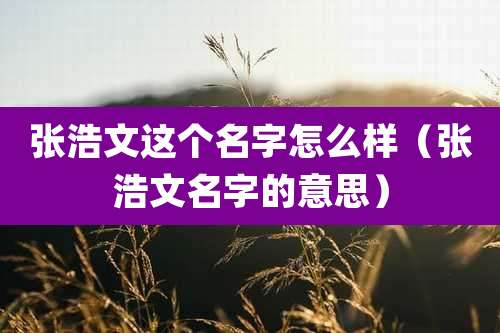 张浩文这个名字怎么样（张浩文名字的意思）