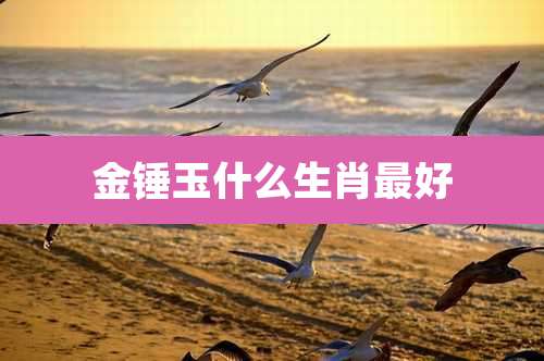 金锤玉什么生肖最好