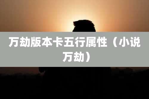 万劫版本卡五行属性(小说 万劫)