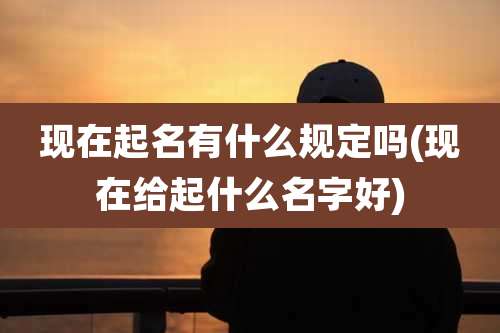 现在起名有什么规定吗(现在给起什么名字好)