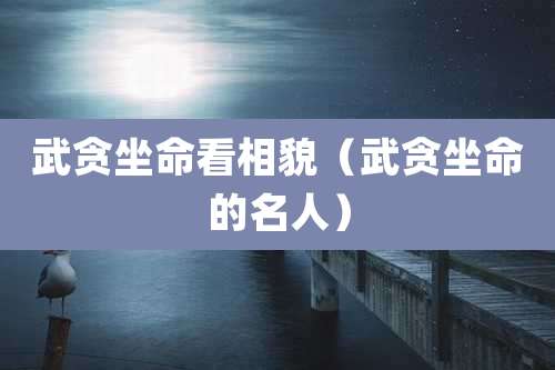 武贪坐命看相貌（武贪坐命的名人）