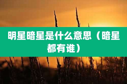 明星暗星是什么意思（暗星都有谁）