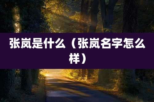 张岚是什么（张岚名字怎么样）