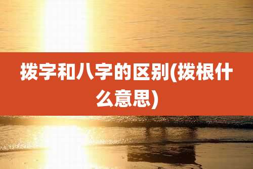拨字和八字的区别(拨根什么意思)