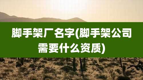 脚手架厂名字(脚手架公司需要什么资质)