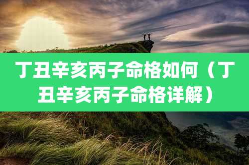 丁丑辛亥丙子命格如何（丁丑辛亥丙子命格详解）