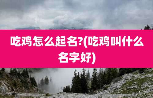 吃鸡怎么起名?(吃鸡叫什么名字好)