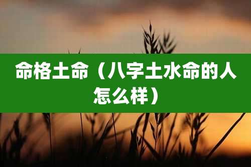 命格土命（八字土水命的人怎么样）