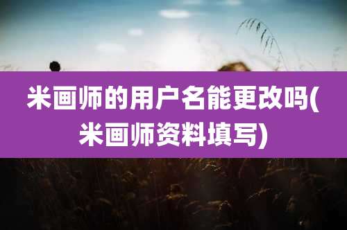 米画师的用户名能更改吗(米画师资料填写)