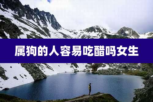 属狗的人容易吃醋吗女生