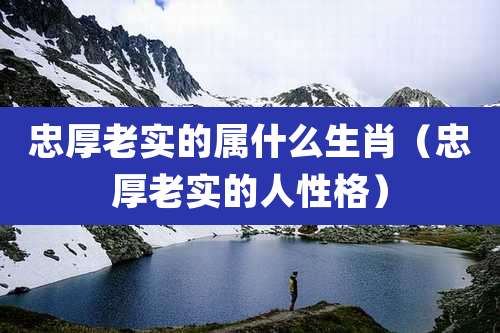 忠厚老实的属什么生肖（忠厚老实的人性格）