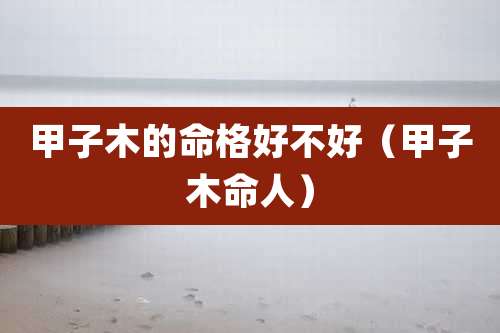 甲子木的命格好不好(甲子木命人)