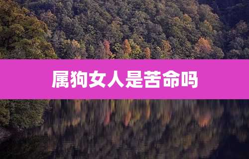 属狗女人是苦命吗