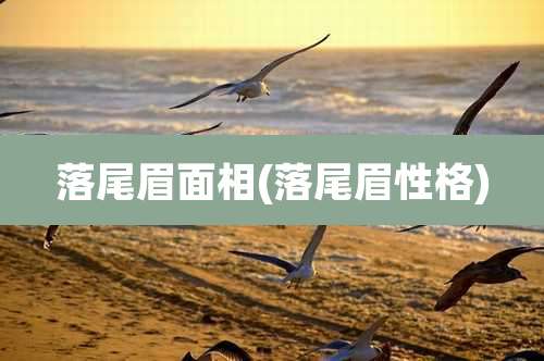 落尾眉面相(落尾眉性格)