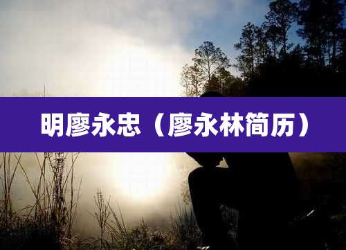 明廖永忠(廖永林简历)