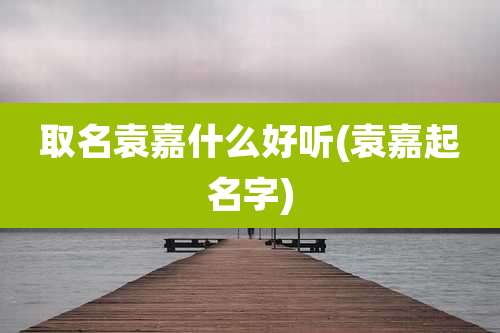 取名袁嘉什么好听(袁嘉起名字)