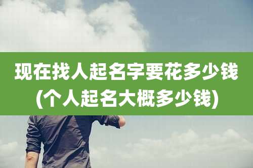 现在找人起名字要花多少钱(个人起名大概多少钱)