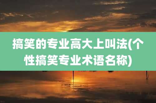 搞笑的专业高大上叫法(个性搞笑专业术语名称)