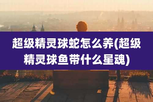 超级精灵球蛇怎么养(超级精灵球鱼带什么星魂)