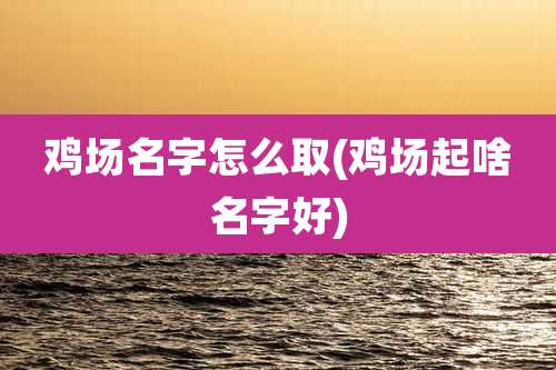 鸡场名字怎么取(鸡场起啥名字好)