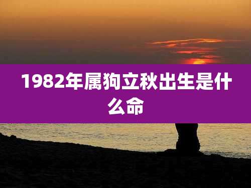 1982年属狗立秋出生是什么命